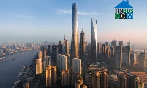 Shanghai Tower có chiều cao 632m. Ảnh: CNN