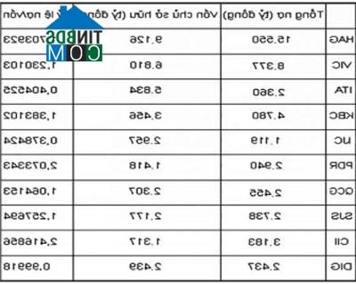 Ảnh Những kỷ lục cổ phiếu bất động sản năm 2011