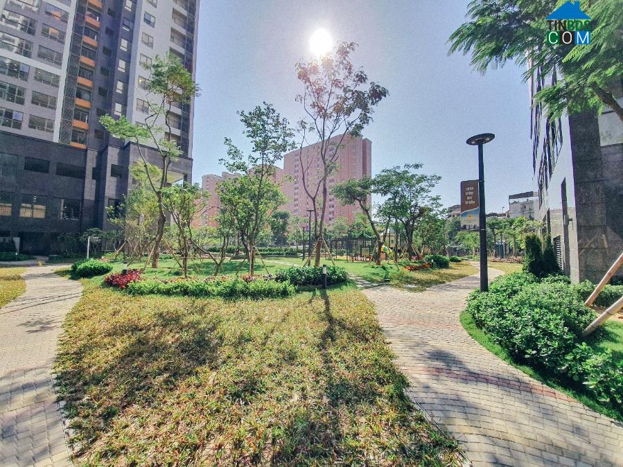 Không gian cho cây xanh được chú trọng và đầu tư