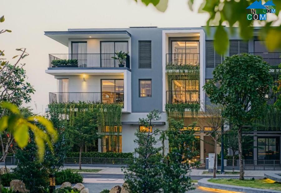 Không gian sống trong lành, gần gũi với thiên nhiên của The Standard