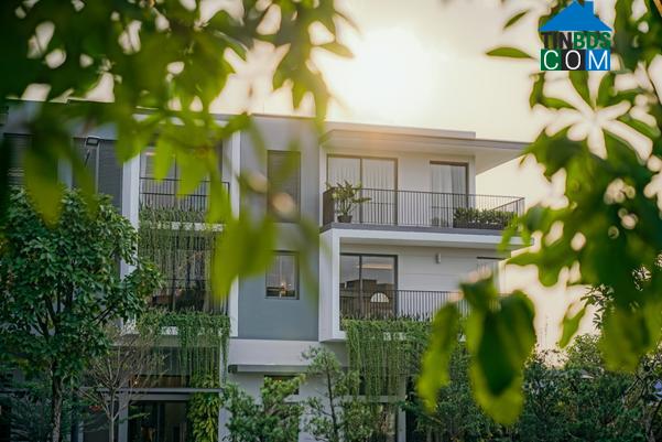 Không gian sống trong lành, nhiều cây xanh tại khu biệt lập The Standard. (Ảnh thực tế)