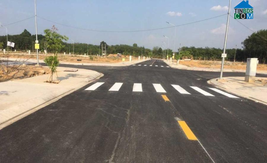 Ảnh Rao bán cắt lỗ sau sốt, giới đầu cơ bắt đầu ôm đất