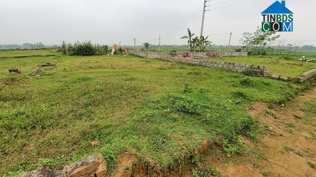 Giá đất ở các thành phố quá cao, nhà đầu tư buộc phải 