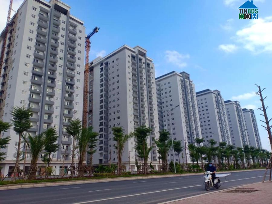 Nhà giá rẻ ngày càng khan hiếm trên thị trường