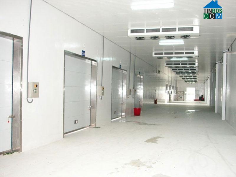 Ảnh Bất động sản kho lạnh - cơ hội đầu tư lớn của thị trường