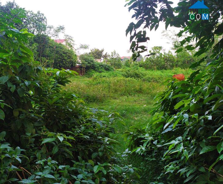 Ảnh Sóng lại nổi với đất nền vùng ven?