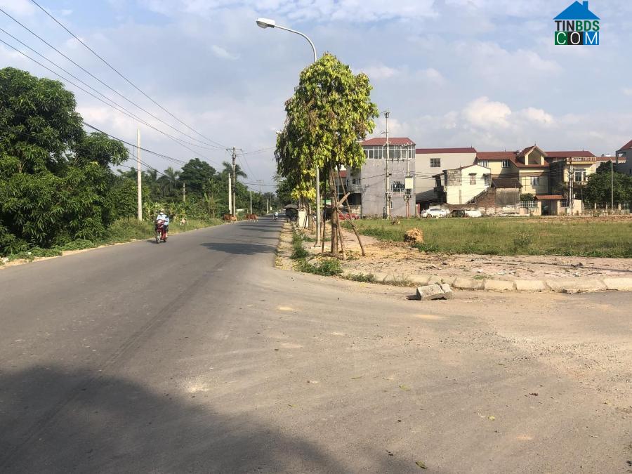 Ảnh Bất động sản Mê Linh (Hà Nội) sốt nóng giữa thời dịch