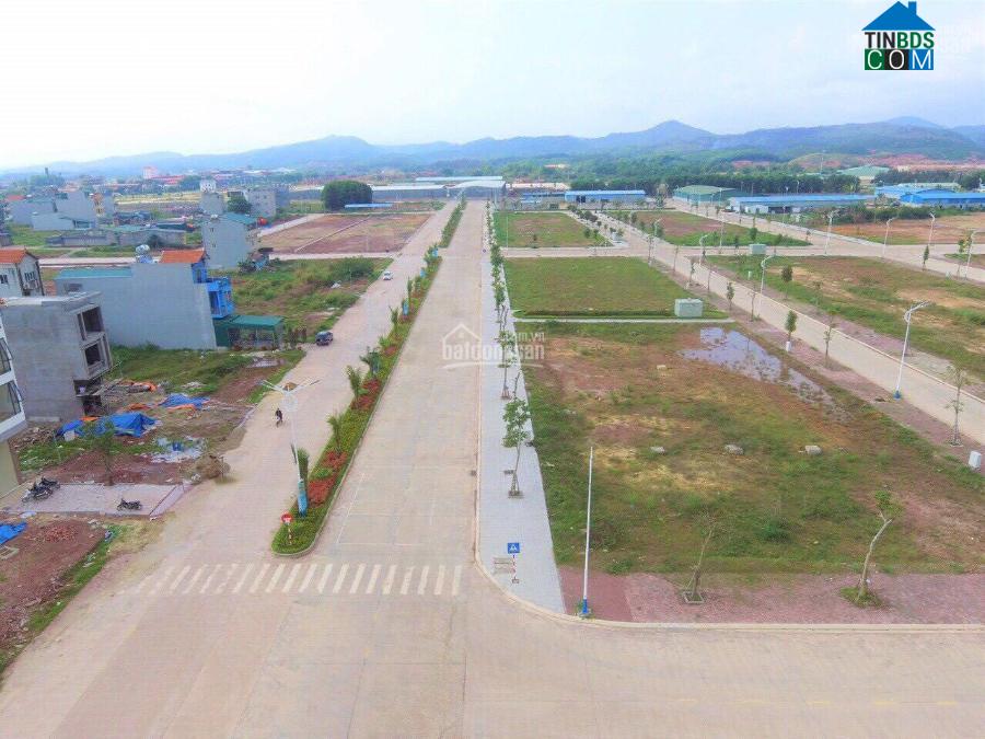 Đầu năm 2021, thị trường Quảng Ninh nổi sóng với Móng Cái vào thời điểm tháng 4, tháng 5