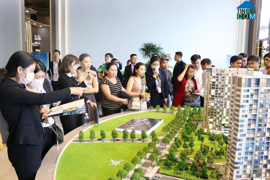 Ảnh Biến động giá BĐS TP. Thủ Đức sau 6 tháng thành lập