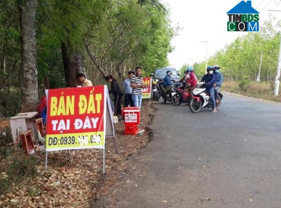 Người dân cần được nâng cao về nhận thức để không bị dao động bởi những cơn sốt ảo.