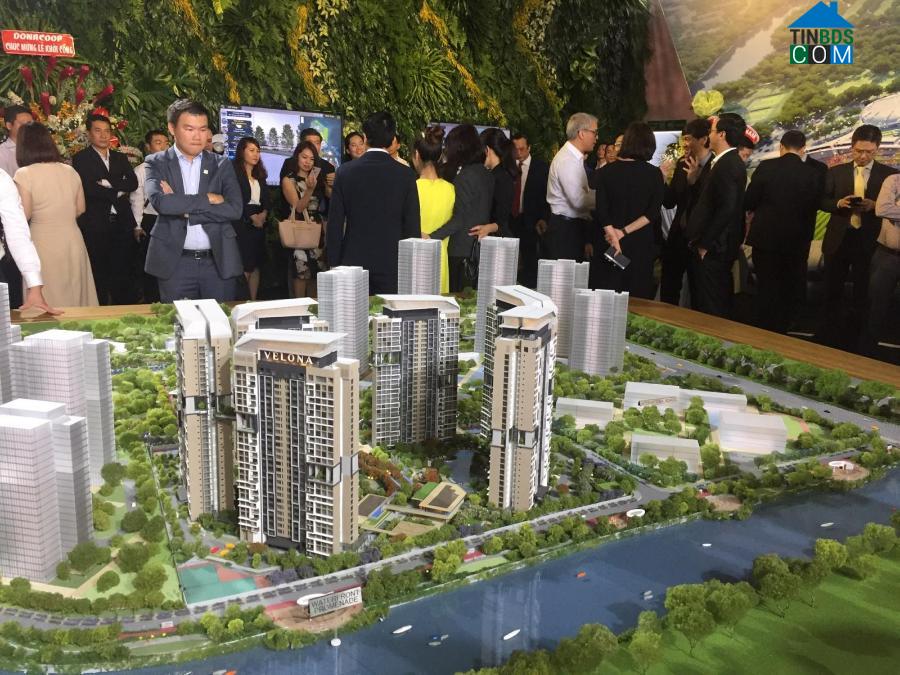 Các dự án cao cấp, hạng sang không chỉ lấn áp nguồn cung thị trường mà còn đang kéo mức giá nhà trung bình tại TP.HCM tăng phi mã qua các năm.