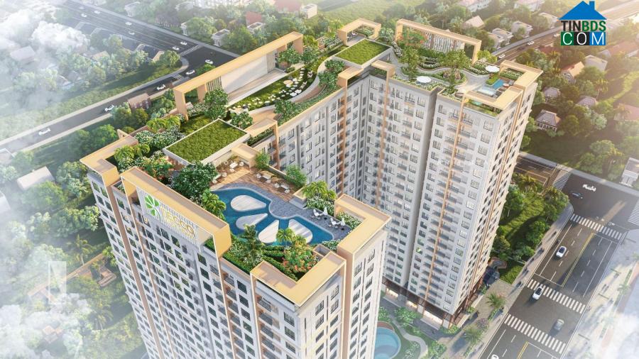 Ảnh Tecco Felice Homes mang đến điều gì cho khách hàng với mức giá từ 1,1 tỷ/căn 2PN?