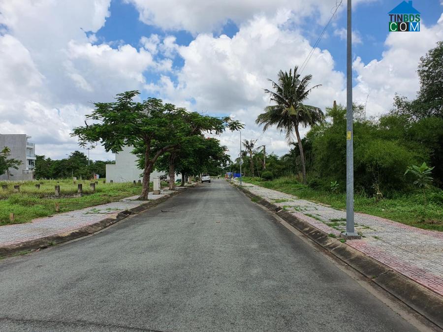 Ảnh Nhà đầu tư đất nền đang cố “gồng mình” qua mùa dịch