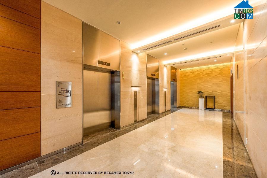 Ảnh Bất chấp dịch bệnh, Bình Dương vẫn thăng hạng chất lượng môi trường sống và đầu tư