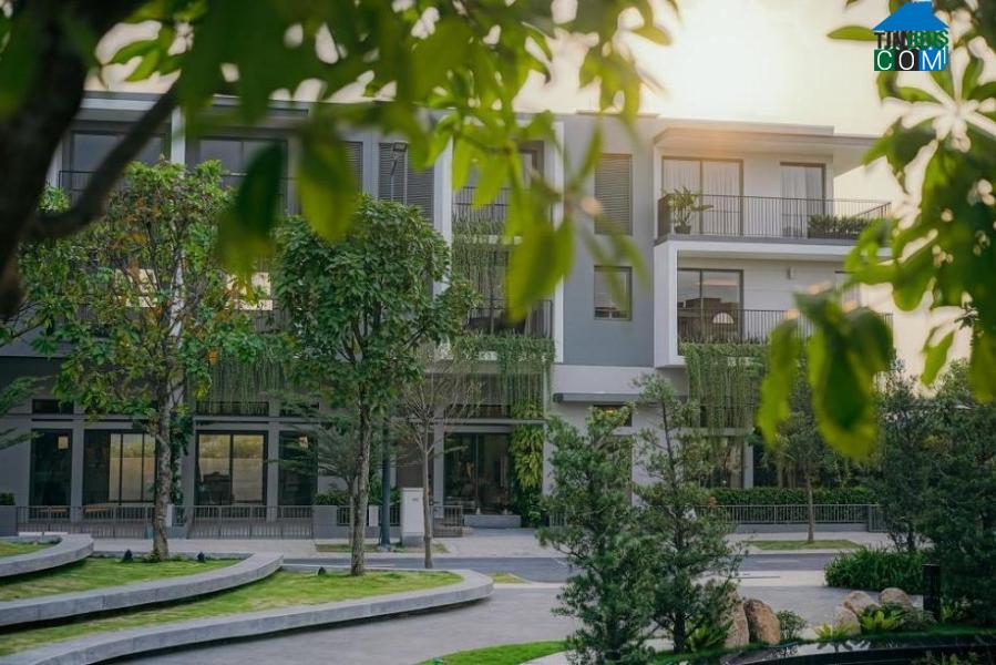 Ảnh Sống như nghỉ dưỡng mỗi ngày tại khu biệt lập The Standard của An Gia (AGG)