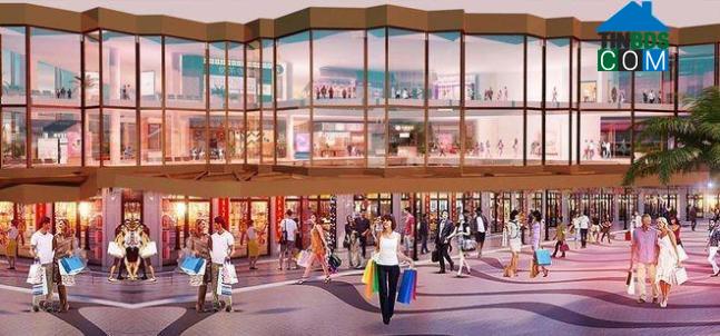 D-Homme đầu tư hồ bơi liên hoàn lớn bậc nhất TP.HCM