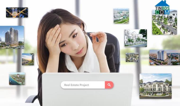 Ảnh Giải pháp hiệu quả cho người tìm kiếm thông tin dự án BĐS tại Việt Nam