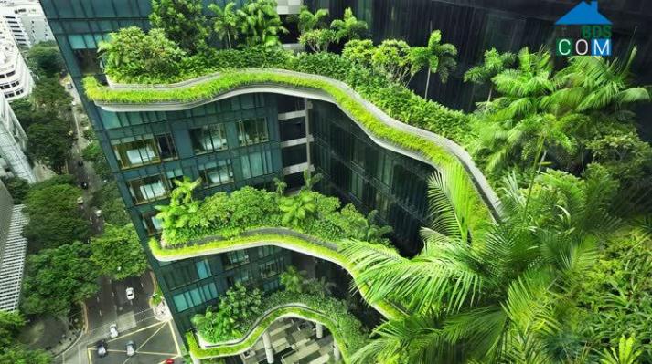 Bất động sản xanh sẽ là xu thế phát triển tất yếu của tương lai