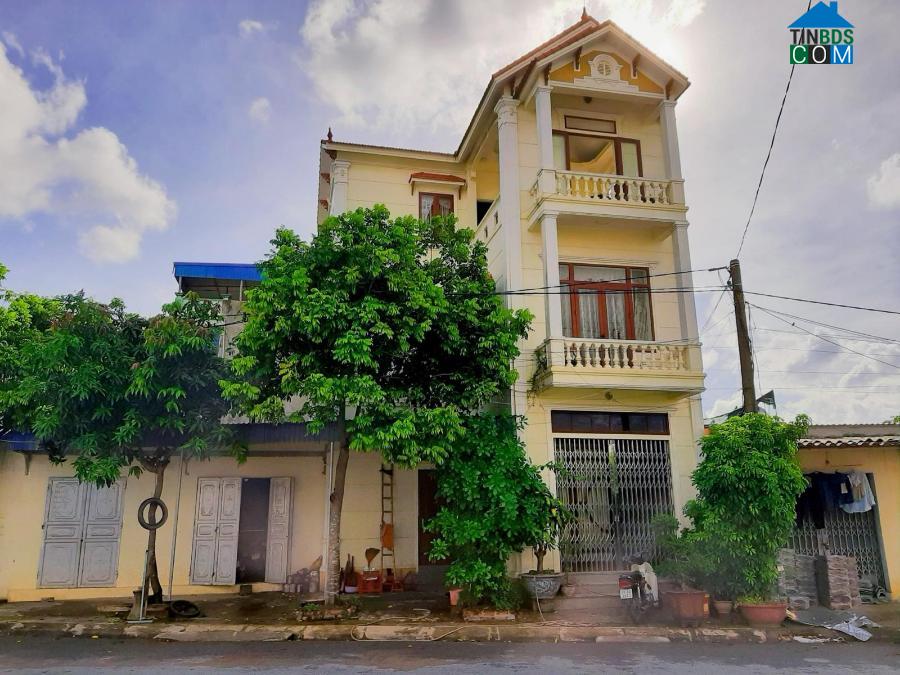 Chủ nhà cũ chuyển ra nước ngoài sinh sống nên chúng tôi may mắn mua lại được ngôi nhà với giá 800 triệu đồng. Ảnh: NVCC