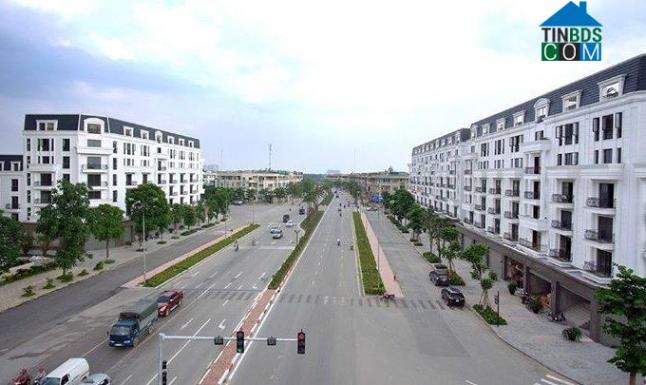 Những bất động sản thương mại đảm bảo yếu tố dòng tiền và lãi vốn nằm trong điểm ngắm săn lùng của các cá mập thời Covid-19. Ảnh minh họa 