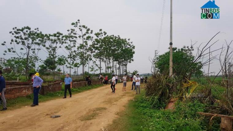 Đất nền vùng ven là phân khúc ghi nhận lượng tìm kiếm tăng mạnh trở lại sau thông tin nới lỏng giãn cách. Ảnh minh họa