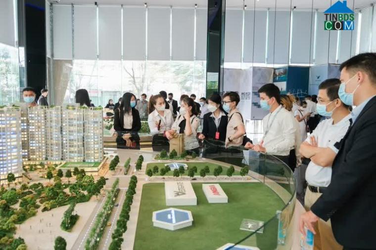 Ảnh Người mua thận trọng hơn khi "săn" bất động sản tại Bình Chánh