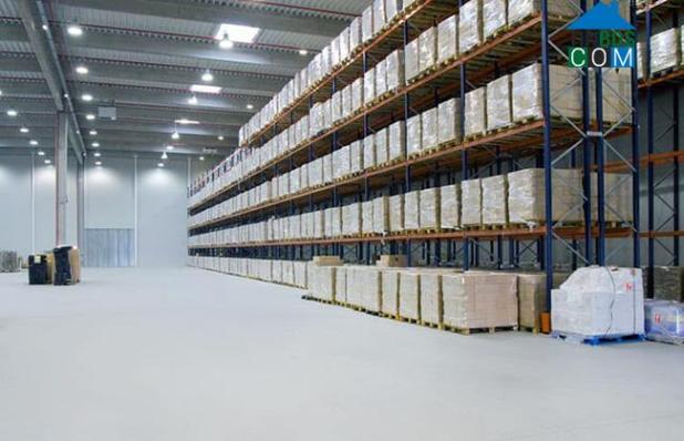 Ngành hậu cần và kho bãi của Việt Nam có nhiều cơ hội phát triển trước sự bùng nổ của thương mại điện tử