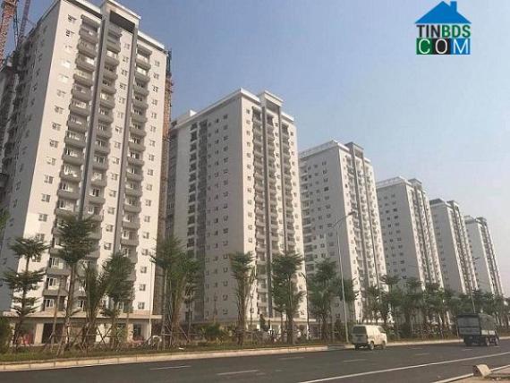 Phân khúc nhà giá rẻ tăng giá mạnh thời điểm cuối năm. Ảnh minh họa