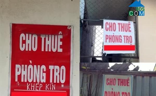 Biển treo cho thuê phòng trọ dày đặc ngõ ngách Hà Nội