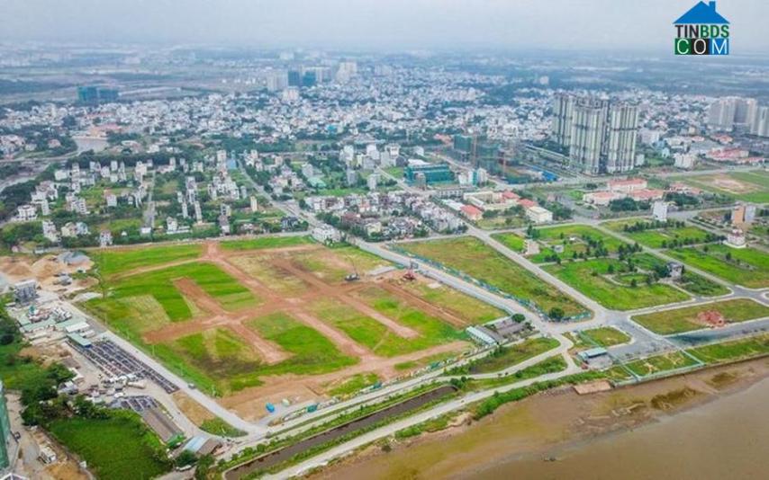 Đất sản xuất kinh doanh không dùng để nuôi trồng các loại cây ăn quả.