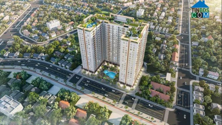 Tecco Felice Homes là