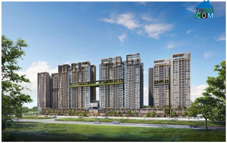 Ảnh Keppel Land và Shopee lần đầu tiên bắt tay hợp tác cho dự án Celesta Heights