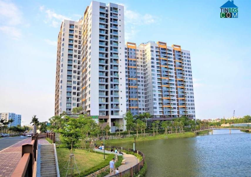 Ảnh Yếu tố nào giúp BĐS khu Nam Sài Gòn là một điểm sáng vào thời điểm cuối năm?