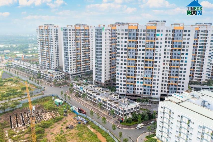 Trường tiểu học Bình Hưng đang được thi công trong khu đô thị tích hợp Mizuki Park 26ha phát triển bởi Nam Long, Hankyu Hanshin và Nishi Nippon Railroad.