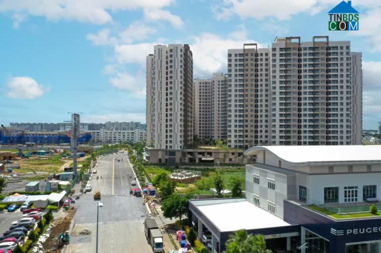 Ảnh Người mua thận trọng hơn khi "săn" bất động sản tại Bình Chánh