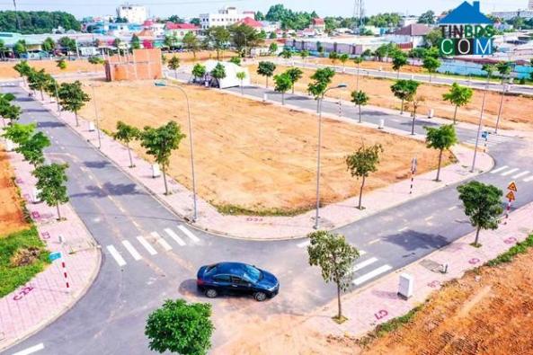 Các hệ thống đèn chiếu sáng, điện – cáp âm, cây xanh đã được quy hoạch chỉn chu tại An Residence