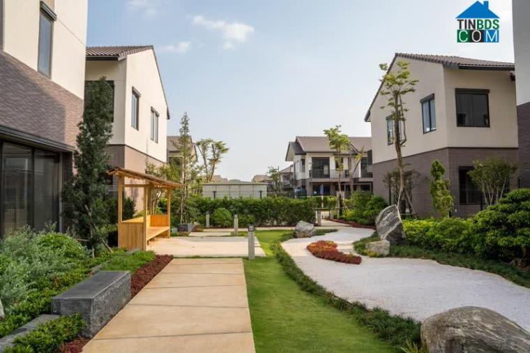 Ảnh Sôi động thị trường nhà liền thổ vùng ven TP.HCM