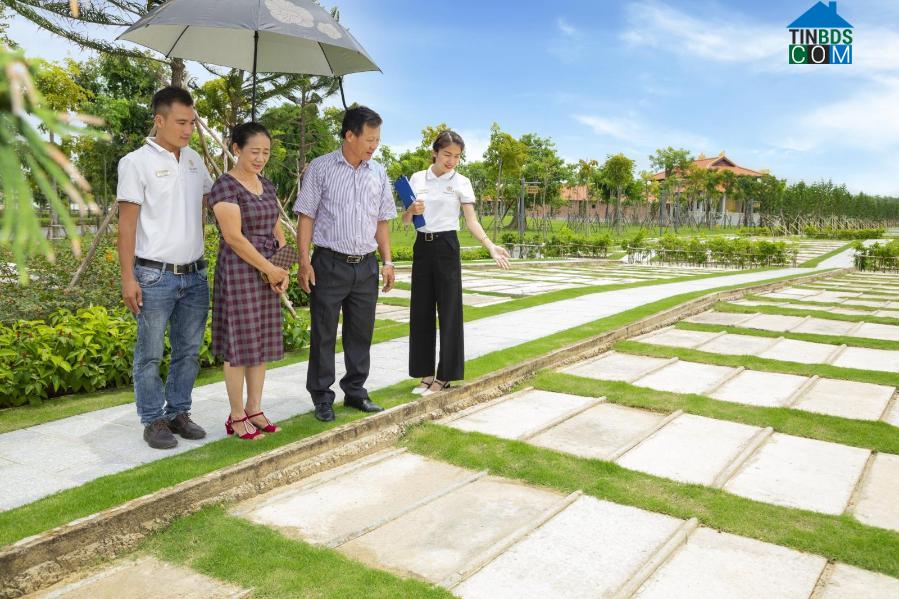 Ảnh Xu hướng mua sẵn phần đất an nghỉ của người Việt Nam hiện đại