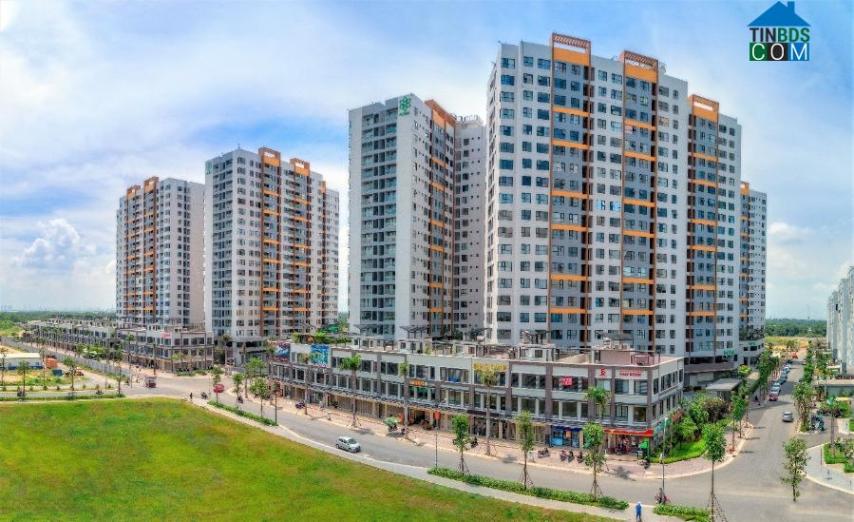 Ảnh Yếu tố nào giúp BĐS khu Nam Sài Gòn là một điểm sáng vào thời điểm cuối năm?