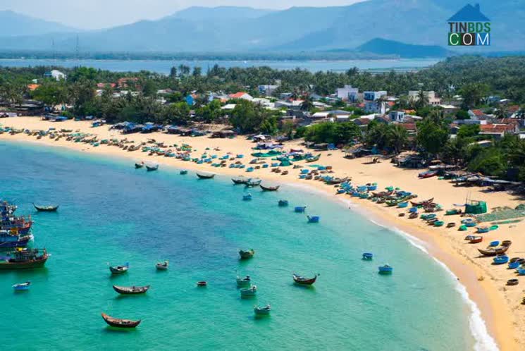 Sống xanh ven biển được nhiều người lựa chọn hiện nay