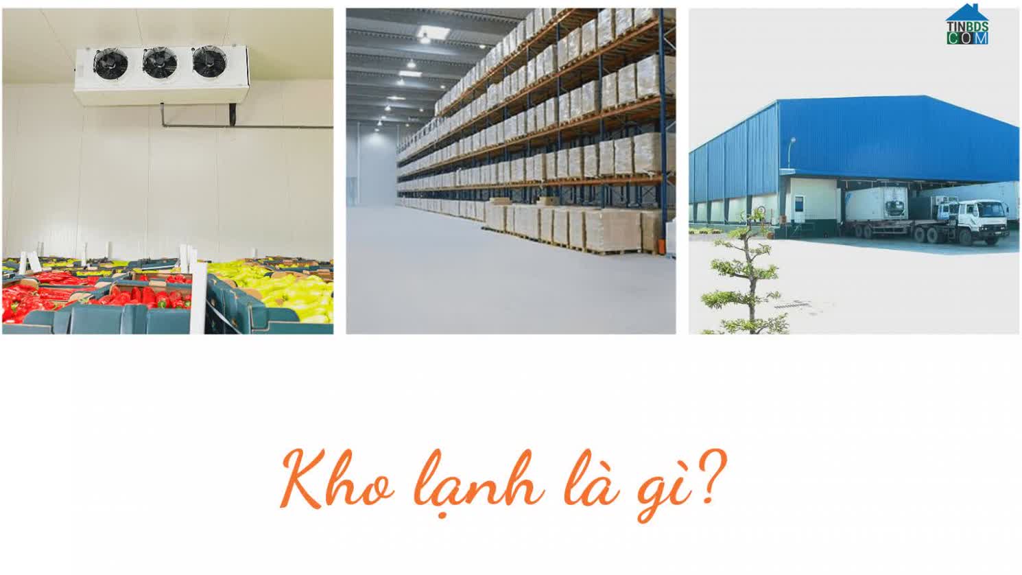 Kho lạnh lắp đặt hệ thống làm lạnh hay cấp đông để bảo quản hàng hóa lâu và giữ được chất lượng tốt nhất.