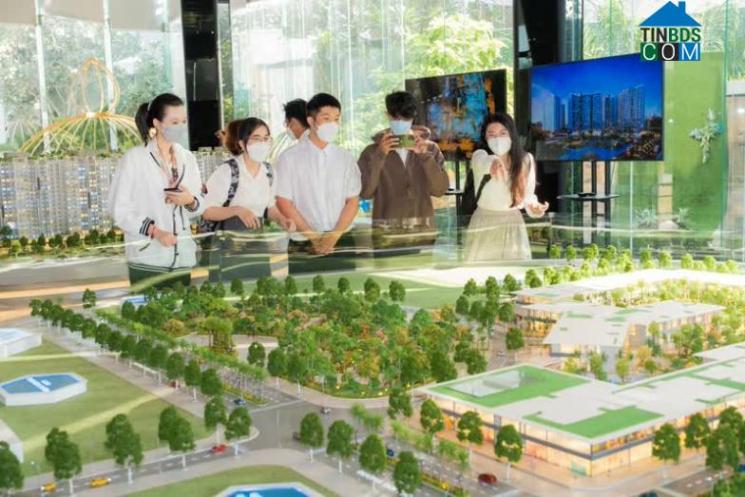 Ảnh Xu hướng chọn mua nhà đảo chiều sau dịch bệnh