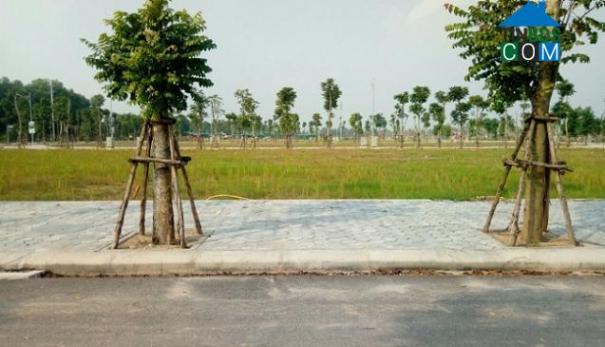 Ảnh Quả đắng khi đầu tư đất quê