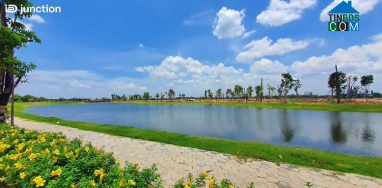 Nước hồ lọc bằng hệ thống sinh thái Wetland nên luôn trong xanh