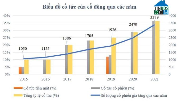 Giả định số cổ phiếu cổ đông sở hữu ban đầu là 1.000 cổ phiếu và giữ lại qua các năm