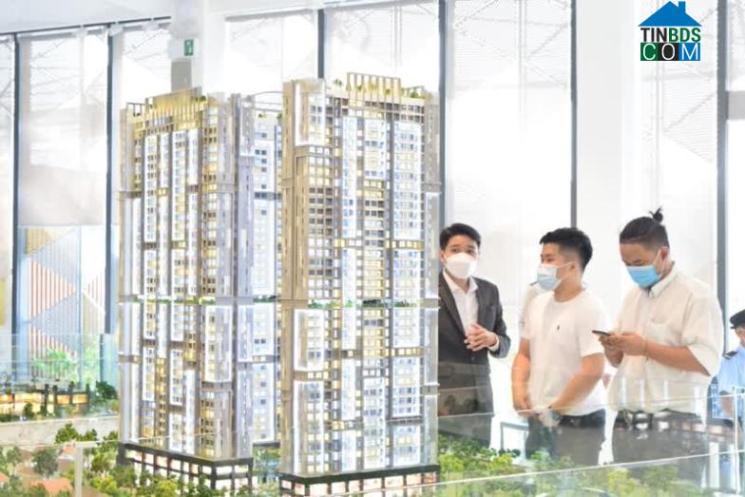 Ảnh Pháp lý dự án - Thách thức và cơ hội của bất động sản sơ cấp