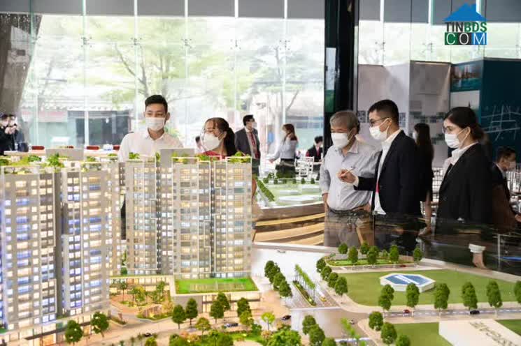 Ảnh Dòng tiền có xu hướng đổ về thị trường nhà đất