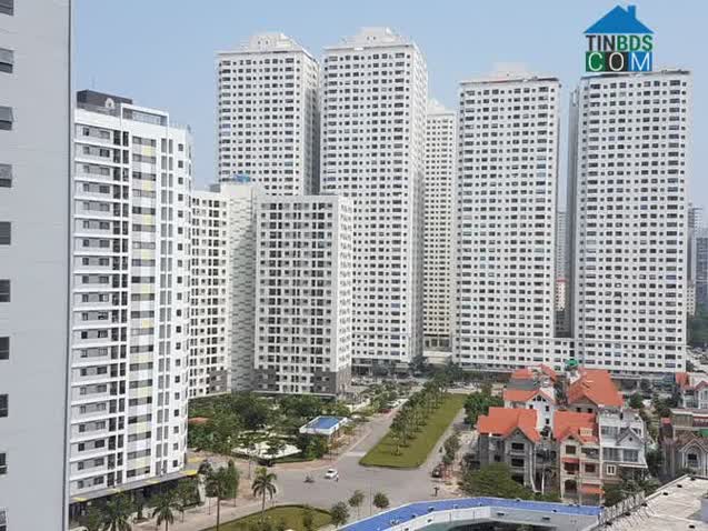 Nhà giá rẻ là phân khúc có mức tăng mạnh nhất trong các phân khúc của chung cư