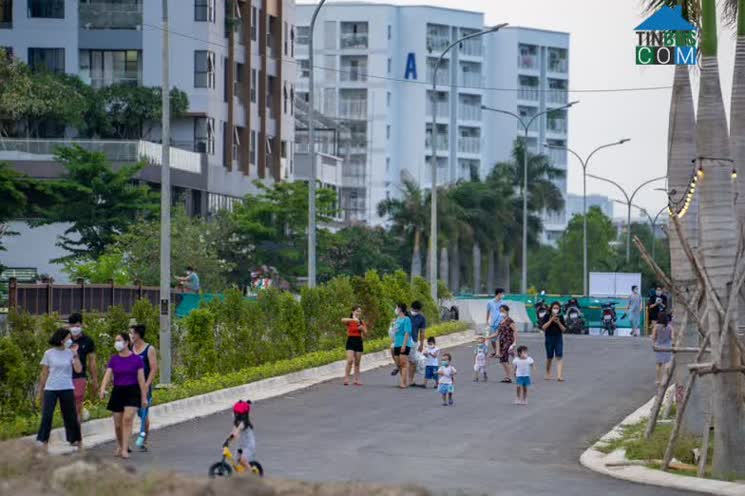 Ảnh Dòng tiền vẫn ưu tiên chọn loại hình căn hộ ở các thành phố lớn