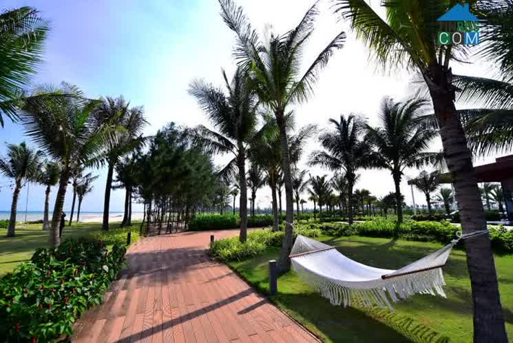 Ảnh Hợp nhất giữa BĐS nhà ở và BĐS du lịch – nghỉ dưỡng: Venezia Beach tạo chuỗi đầu tư đa năng